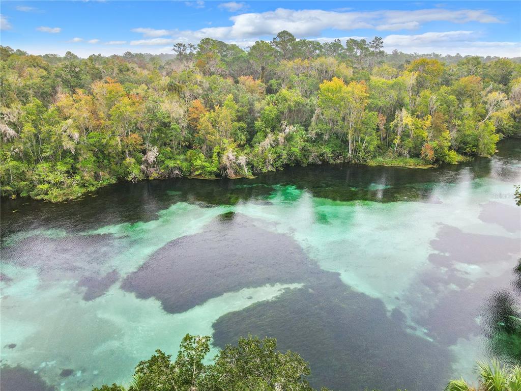 Property for sale at 9000 SW 203RD COURT, DUNNELLON, FL, 34431