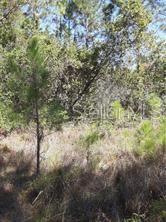 Property for sale at WATER ROAD, GROVELAND, FL, 34736