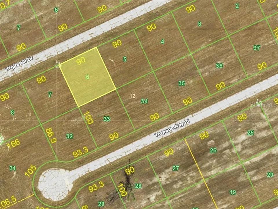 Property for sale at 12252 TRIPLETAIL DRIVE, PLACIDA, FL, 33946