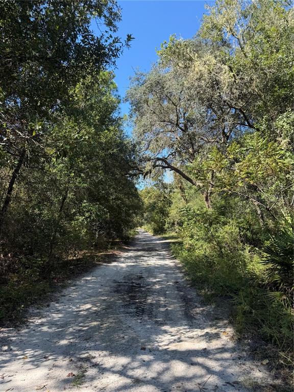 Property for sale at TBD SW 151ST PLACE, DUNNELLON, FL, 34432