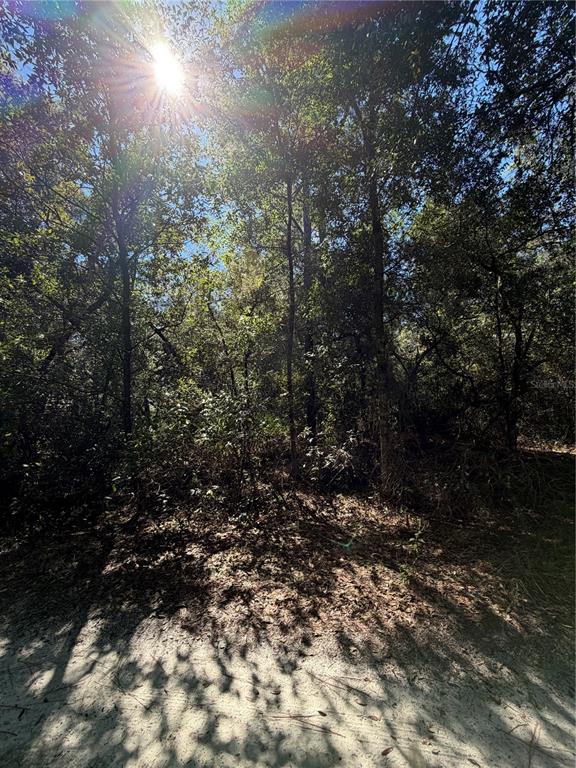Property for sale at TBD SW 151ST PLACE, DUNNELLON, FL, 34432