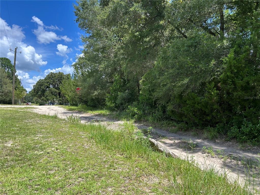 Property for sale at 0000 NE 157TH TERRACE, WILLISTON, FL, 32696
