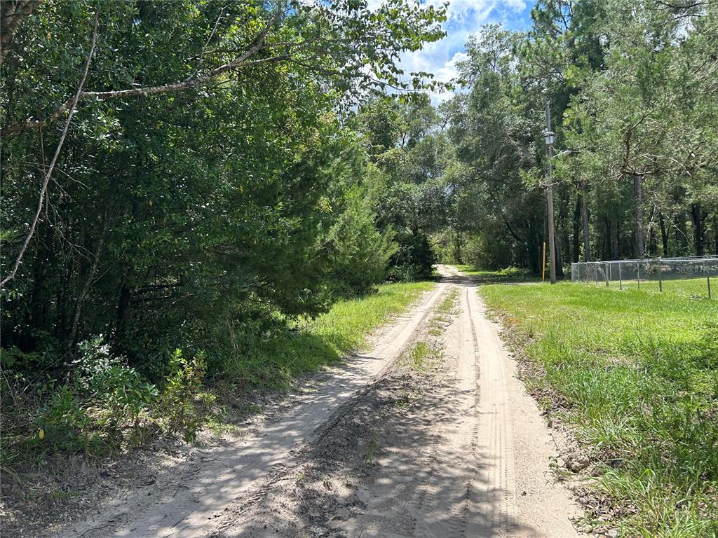 Property for sale at 0000 NE 157TH TERRACE, WILLISTON, FL, 32696