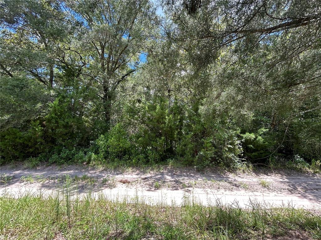Property for sale at 0000 NE 157TH TERRACE, WILLISTON, FL, 32696