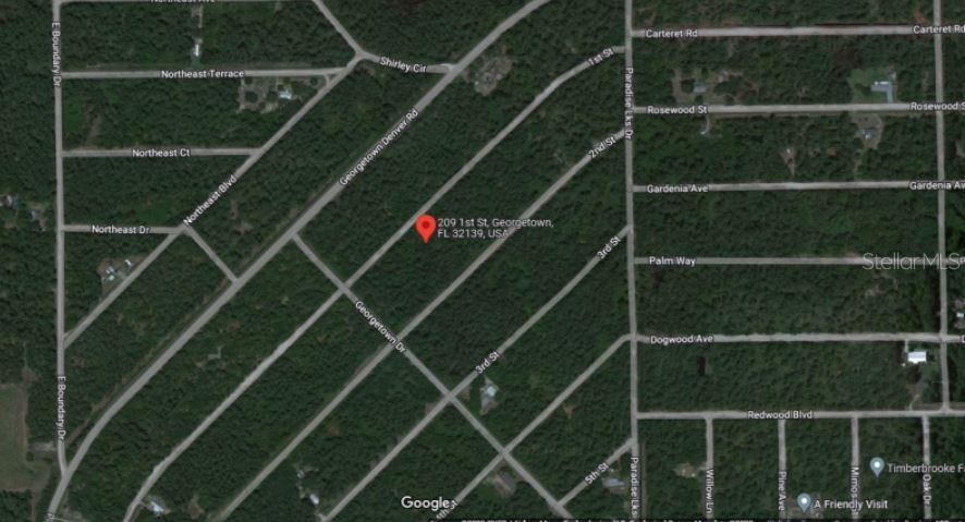 Property for sale at 209 SE PARADISE LAKES, GEORGETOWN, FL, 32139