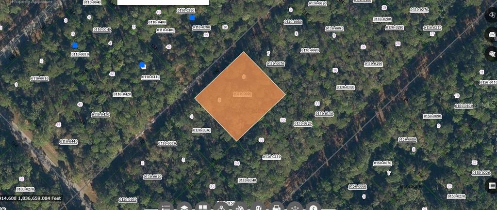 Property for sale at 209 SE PARADISE LAKES, GEORGETOWN, FL, 32139