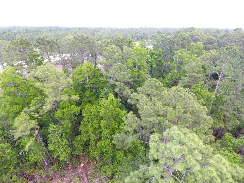 Property for sale at 155 SNAKE HILL ROAD, POMONA PARK, FL, 32181