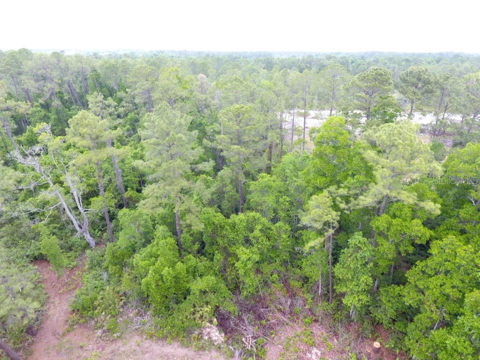 Property for sale at 155 SNAKE HILL ROAD, POMONA PARK, FL, 32181