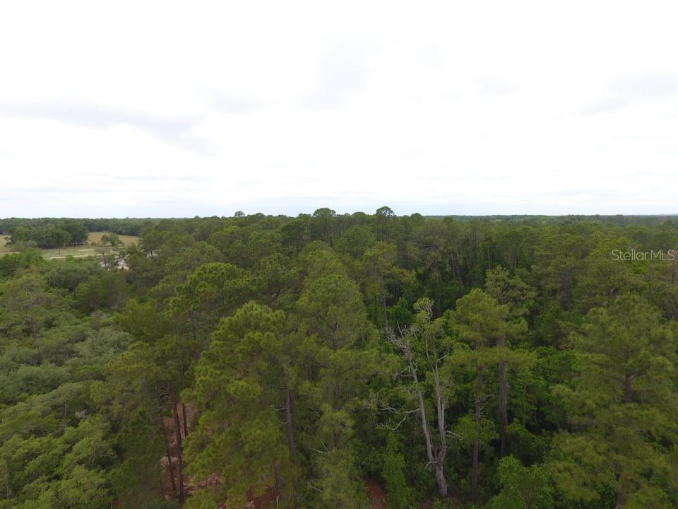 Property for sale at 155 SNAKE HILL ROAD, POMONA PARK, FL, 32181