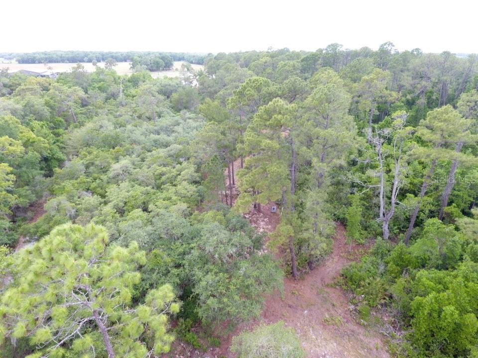 Property for sale at 155 SNAKE HILL ROAD, POMONA PARK, FL, 32181