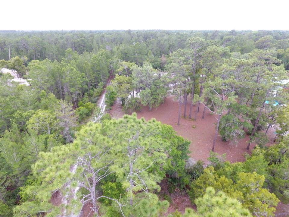 Property for sale at 155 SNAKE HILL ROAD, POMONA PARK, FL, 32181