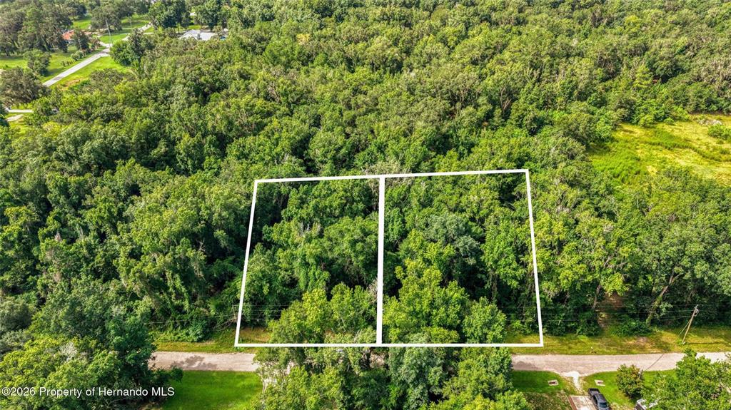Property for sale at 23186 FITZHUGH AVENUE, BROOKSVILLE, FL, 34601