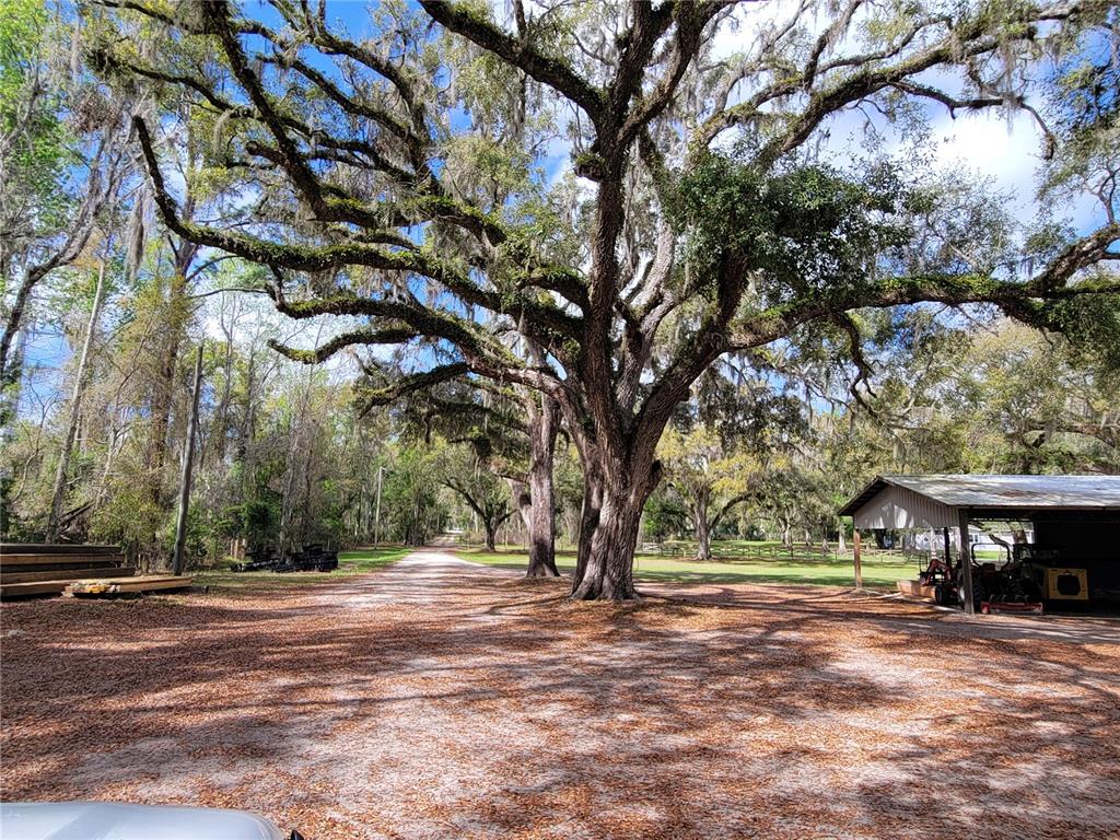 Property for sale at 22397 MONDON HILL ROAD, BROOKSVILLE, FL, 34601