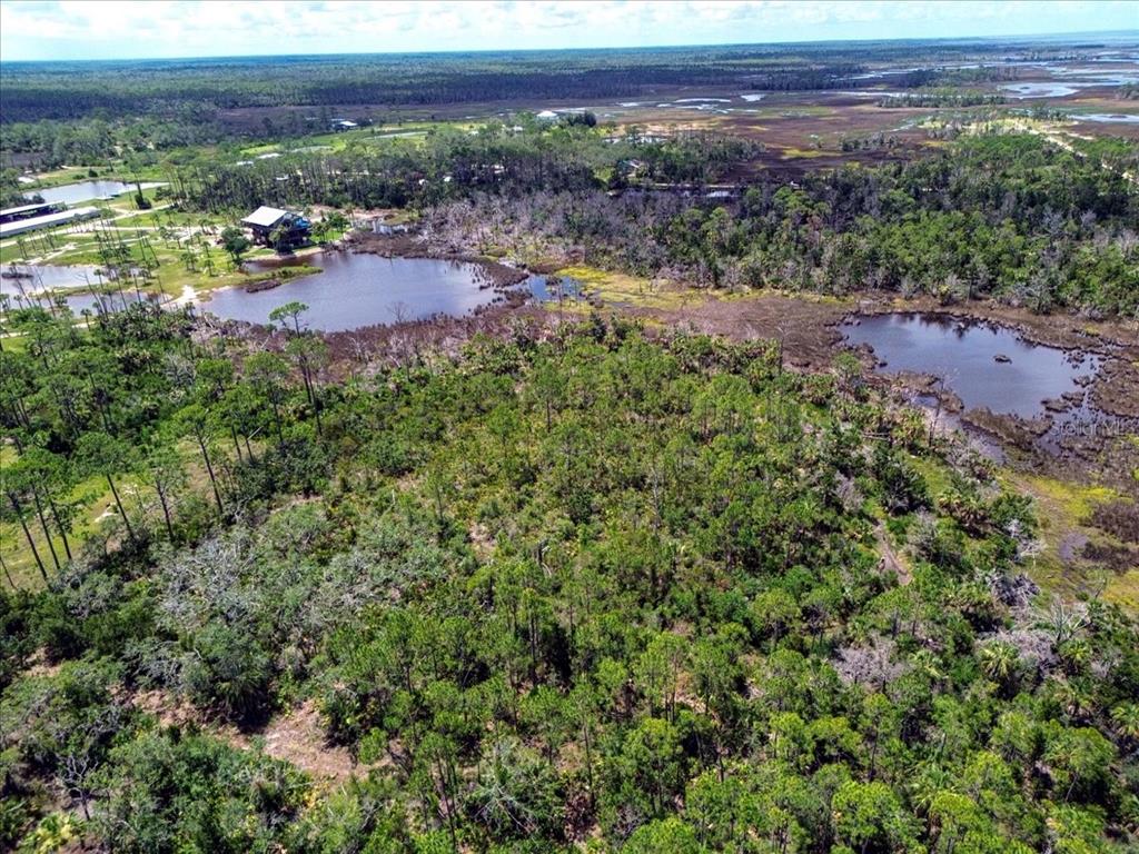 Property for sale at TBD SW 276 AVENUE, STEINHATCHEE, FL, 32359