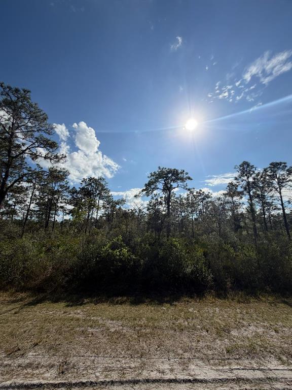 Property for sale at 405 BOUGAINVILLE DRIVE, INDIAN LAKE ESTATES, FL, 33855