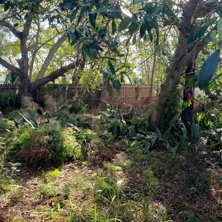 the rear of lot has some plants and trees. front is flat and empty.