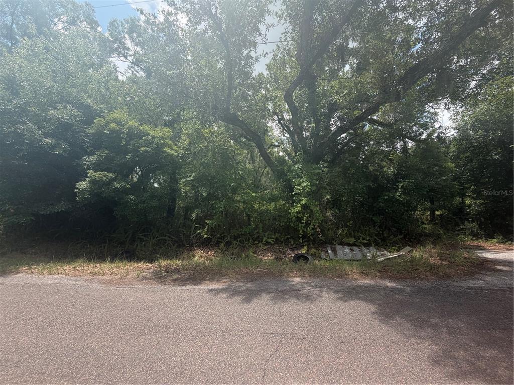 Property for sale at 4447 EDWARDS RD, PLANT CITY, FL, 33567