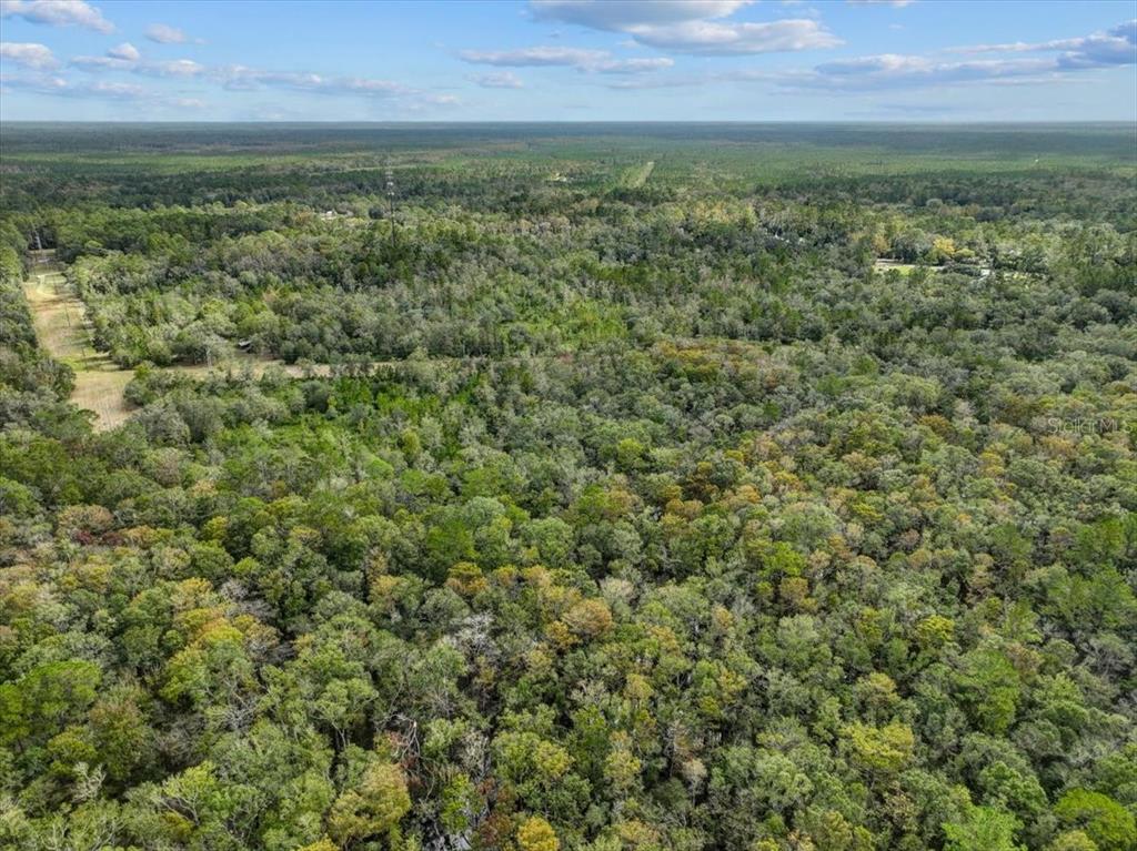 Property for sale at 310 N OTTER CREEK AVENUE, BRONSON, FL, 32621