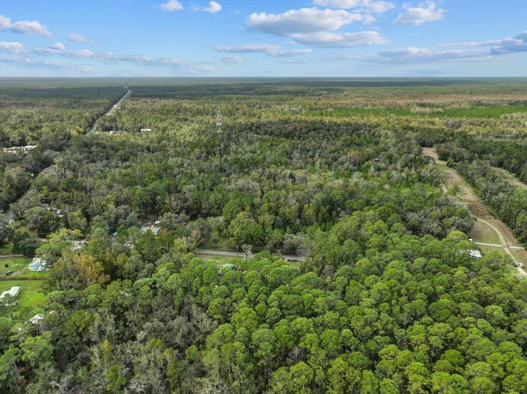Property for sale at 310 N OTTER CREEK AVENUE, BRONSON, FL, 32621