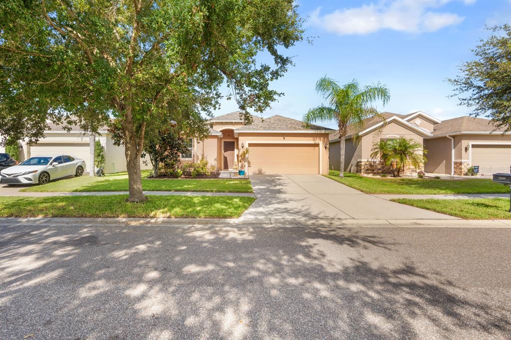 Property for sale at 12009 RAMBLING STREAM, RIVERVIEW, FL, 33569