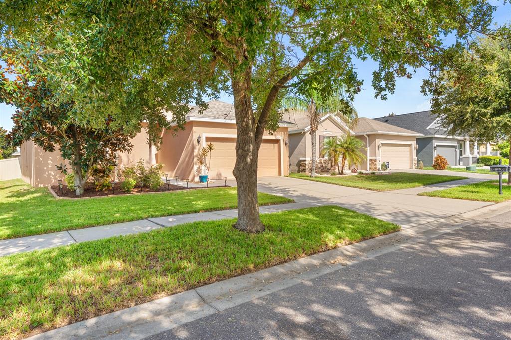 Property for sale at 12009 RAMBLING STREAM, RIVERVIEW, FL, 33569