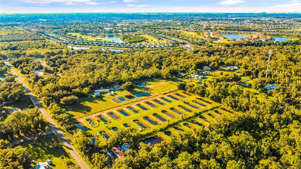 Property for sale at 5010 RUTH MORRIS ROAD, WIMAUMA, FL, 33598