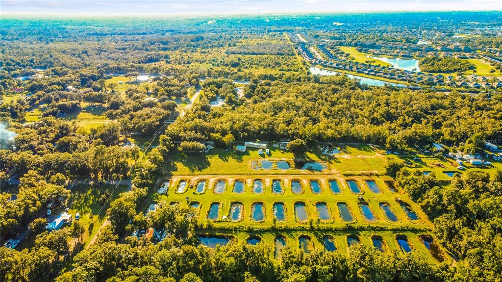 Property for sale at 5010 RUTH MORRIS ROAD, WIMAUMA, FL, 33598