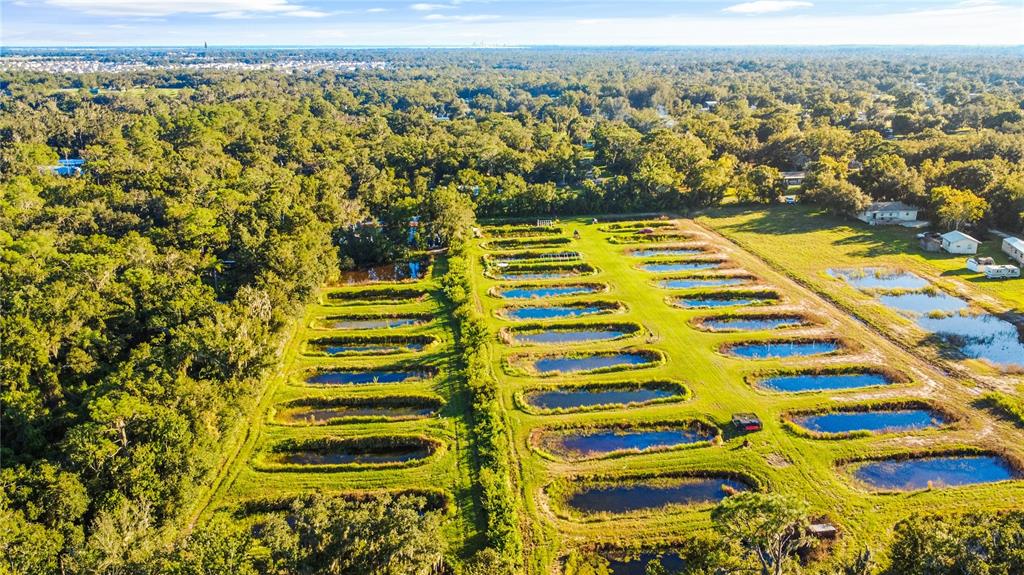 Property for sale at 5010 RUTH MORRIS ROAD, WIMAUMA, FL, 33598