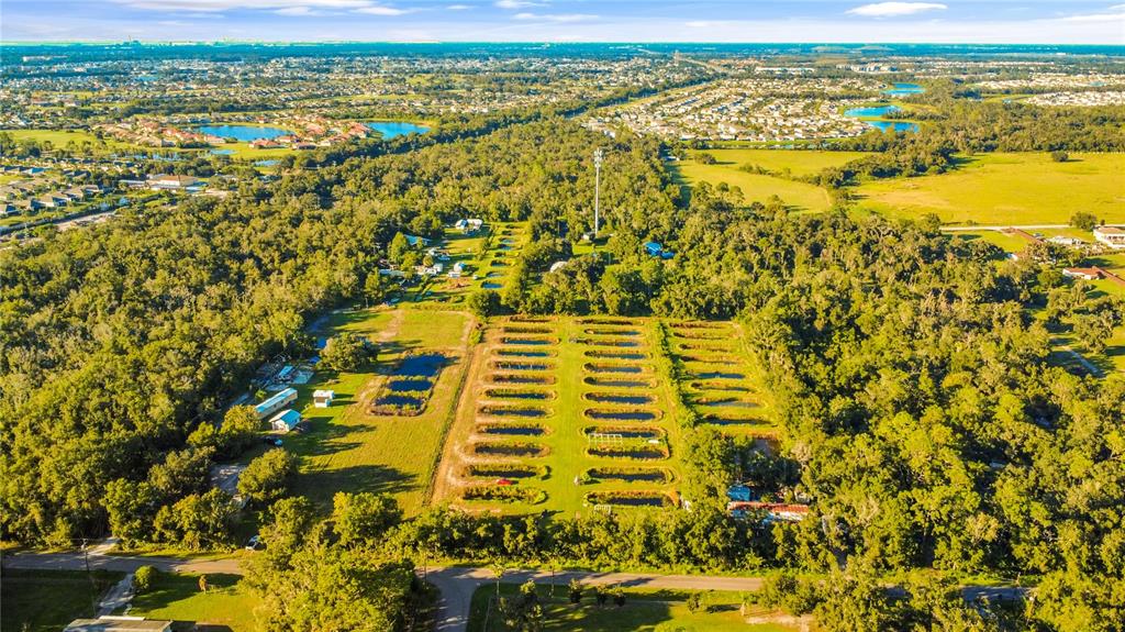 Property for sale at 5010 RUTH MORRIS ROAD, WIMAUMA, FL, 33598