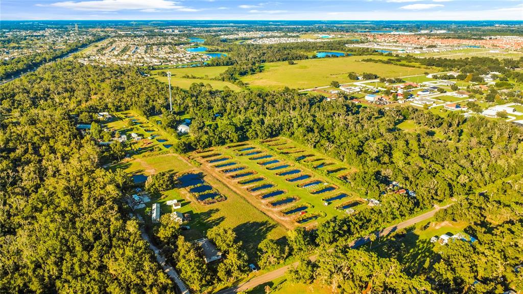Property for sale at 5010 RUTH MORRIS ROAD, WIMAUMA, FL, 33598