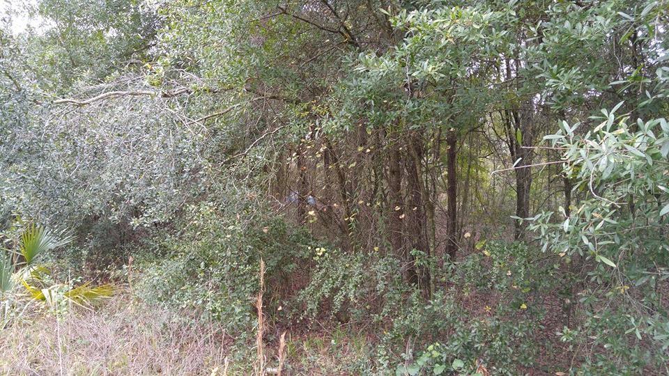 Property for sale at ROLLING MEADOW, LAND O LAKES, FL, 34639