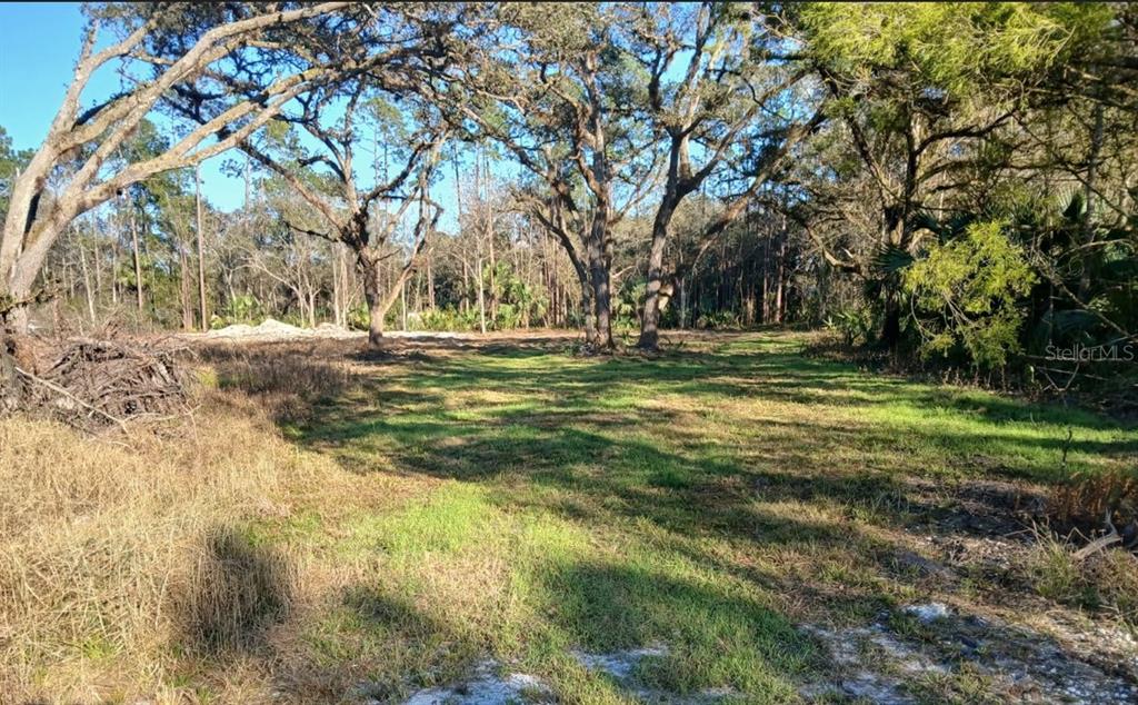 Property for sale at 1013 CUPID AVENUE, CHRISTMAS, FL, 32709