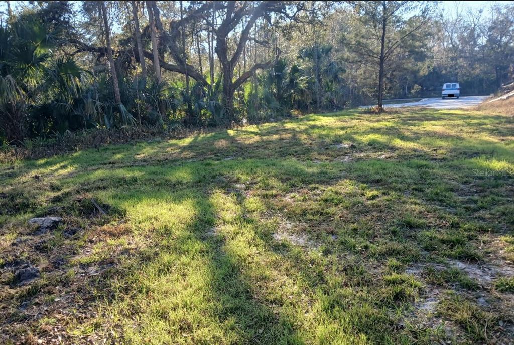 Property for sale at 1013 CUPID AVENUE, CHRISTMAS, FL, 32709