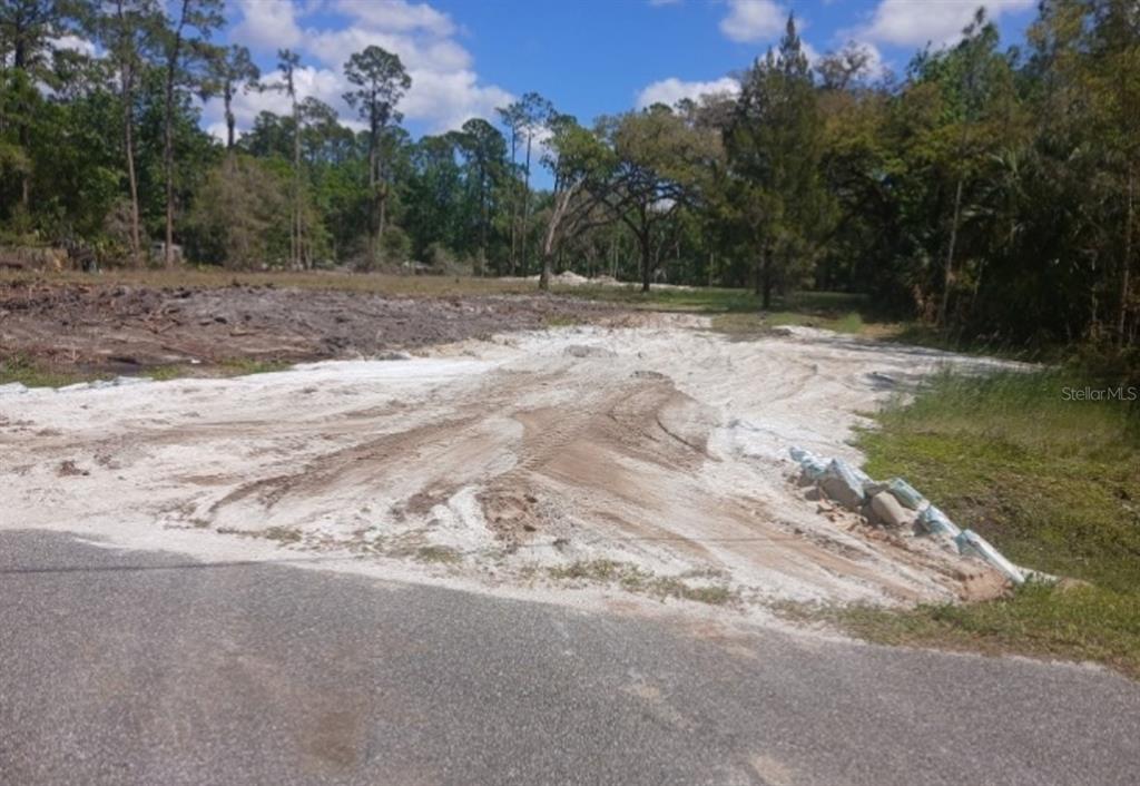 Property for sale at 1013 CUPID AVENUE, CHRISTMAS, FL, 32709