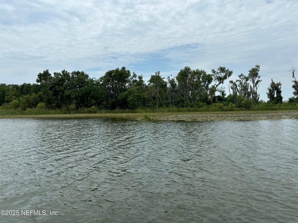 Bird Island