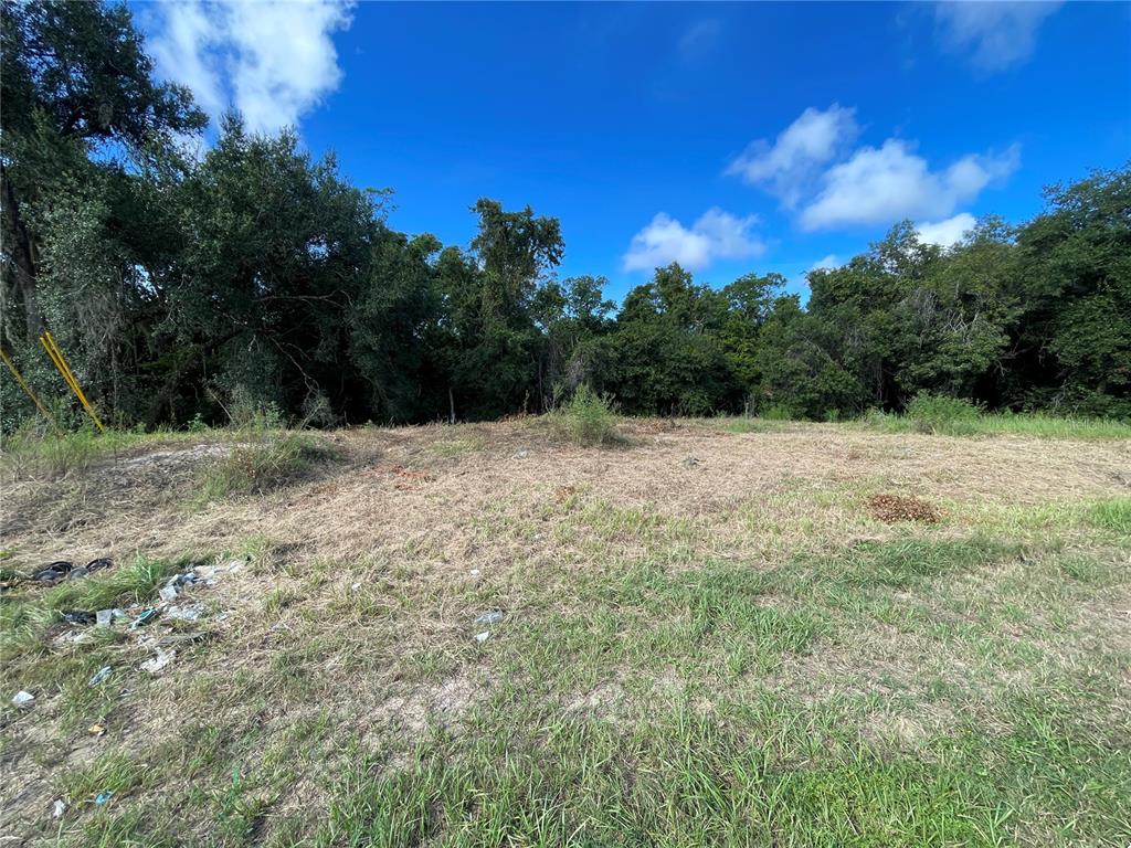 Property for sale at 2427 PECOS LANE, POINCIANA, FL, 34759