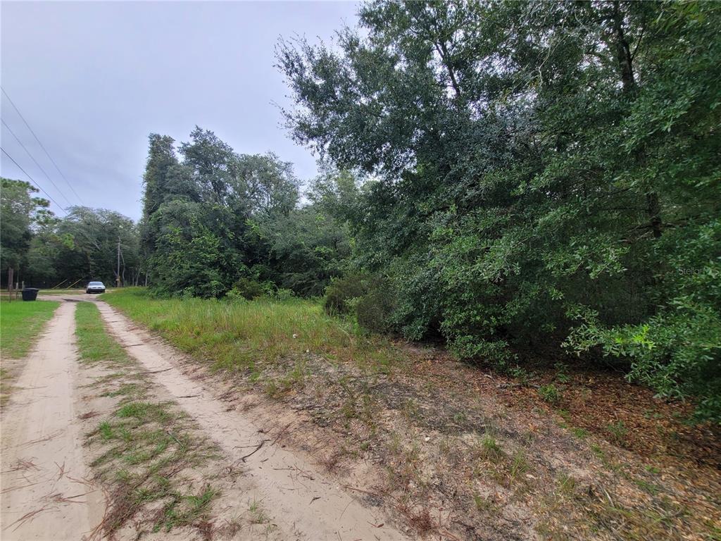 Property for sale at TBD NE 81ST TER DRIVE, BRONSON, FL, 32621