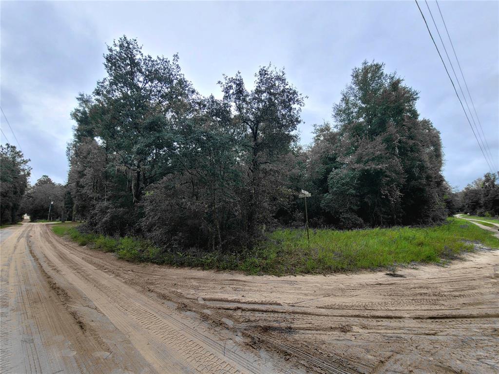 Property for sale at TBD NE 81ST TER DRIVE, BRONSON, FL, 32621