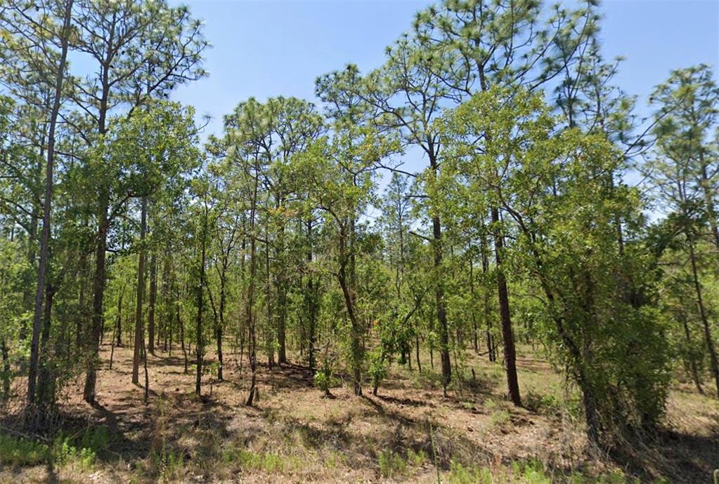 Property for sale at 00 NW NARCISSUS ROAD, DUNNELLON, FL, 34431