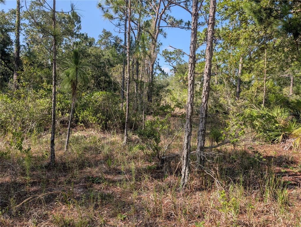 Property for sale at 819 & 821 ALLAMANDA DRIVE, INDIAN LAKE ESTATES, FL, 33855