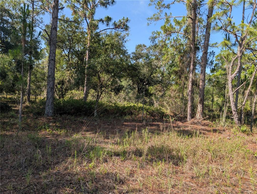 Property for sale at 819 & 821 ALLAMANDA DRIVE, INDIAN LAKE ESTATES, FL, 33855