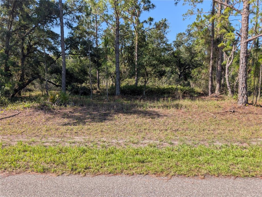 Property for sale at 819 & 821 ALLAMANDA DRIVE, INDIAN LAKE ESTATES, FL, 33855