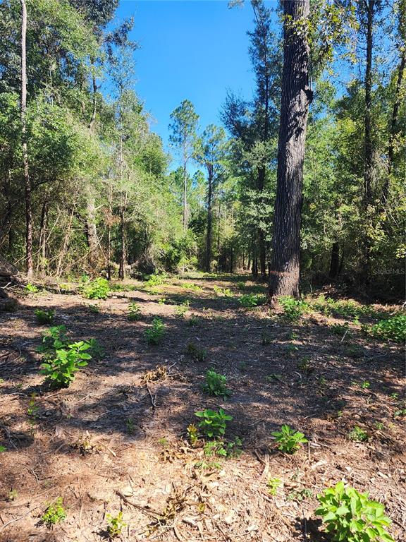 Property for sale at MARCUS DRIVE, GREENWOOD, FL, 32443