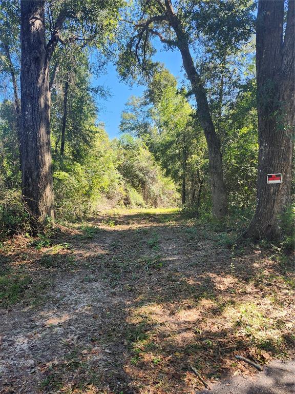Property for sale at MARCUS DRIVE, GREENWOOD, FL, 32443