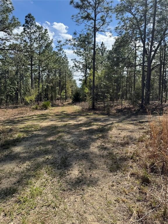 Property for sale at SW 156TH COURT, OCALA, FL, 34481