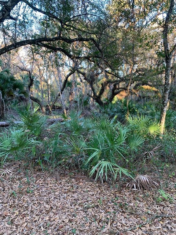 Property for sale at 49 FENNY BOSK TRAIL, VENUS, FL, 33960