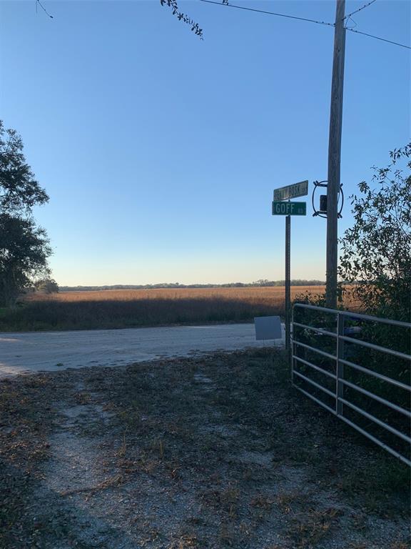 Property for sale at 49 FENNY BOSK TRAIL, VENUS, FL, 33960