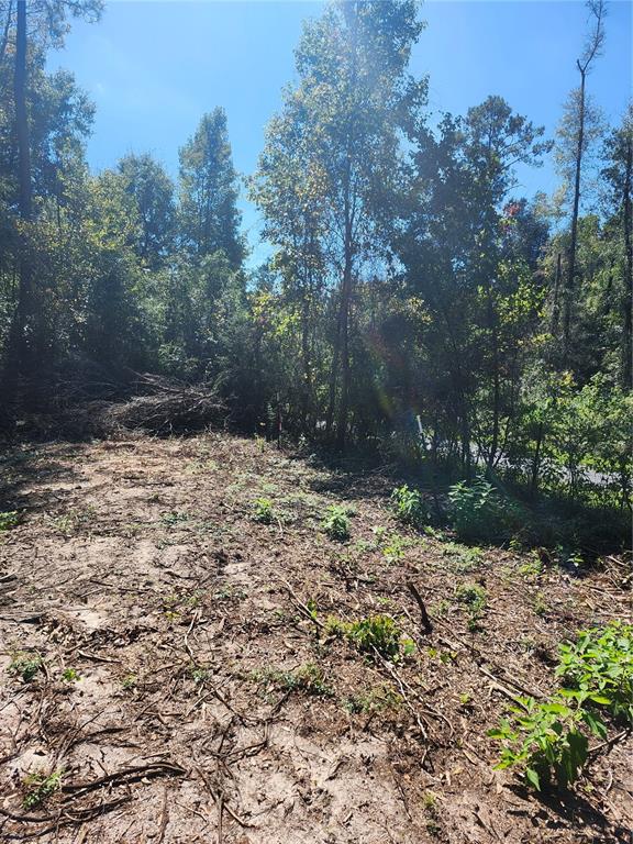 Property for sale at MARCUS DRIVE, GREENWOOD, FL, 32443