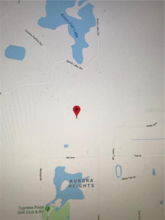 Property for sale at EUCALYPTUS PAPER LANE, OSTEEN, FL, 32764