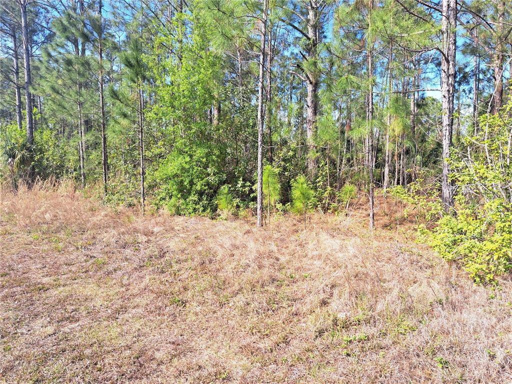 Property for sale at 2 LAGUNA DRIVE, INDIAN LAKE ESTATES, FL, 33855
